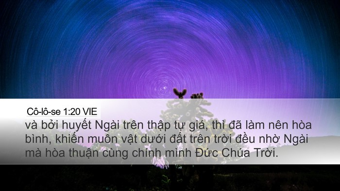 Cô-lô-se 1:20 VIE Bible Verse Image