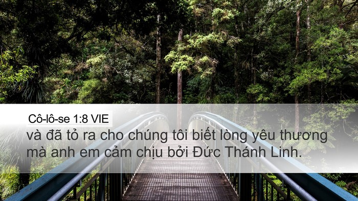 Cô-lô-se 1:8 VIE Desktop Wallpaper - và đã tỏ ra cho chúng tôi biết lòng - Desktop Bible Verse Wallpaper