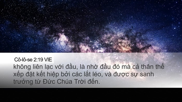 Cô-lô-se 2:19 VIE Bible Verse Image
