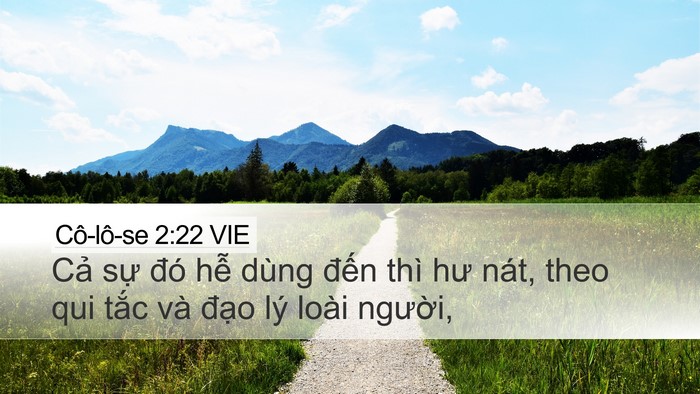 Cô-lô-se 2:22 VIE Bible Verse Image