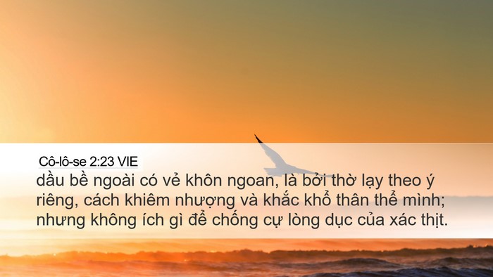 Cô-lô-se 2:23 VIE Bible Verse Image