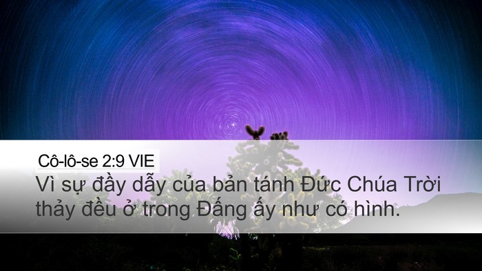Cô-lô-se 2:9 VIE Bible Verse Image