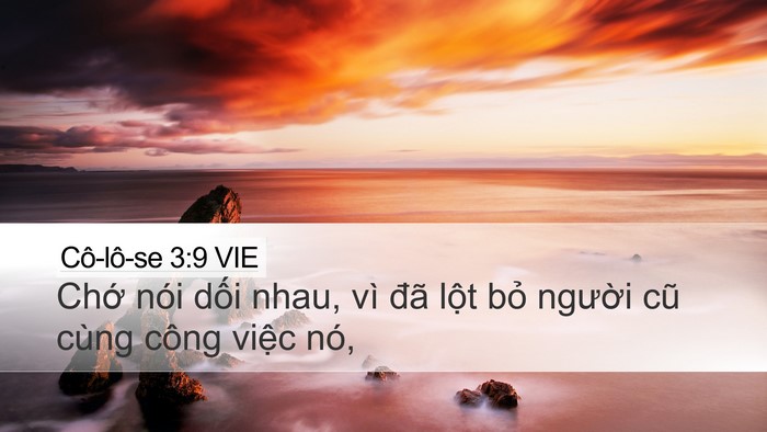 Cô-lô-se 3:9 VIE Bible Verse Image