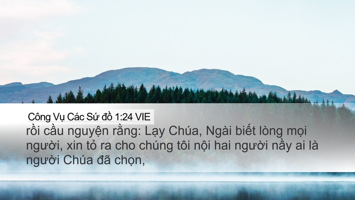 Công Vụ Các Sứ đồ 1:24 VIE Bible Verse Image