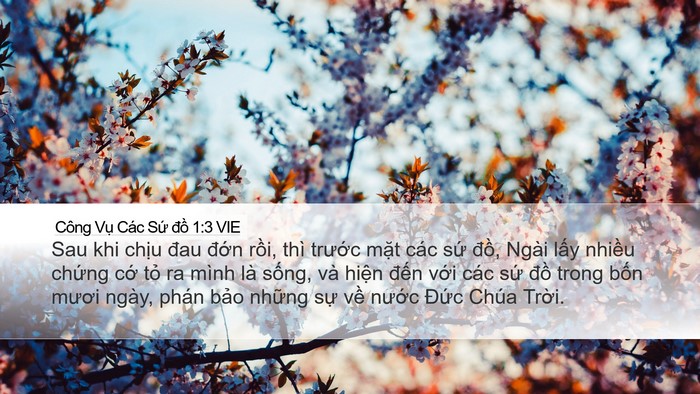Công Vụ Các Sứ đồ 1:3 VIE Bible Verse Image