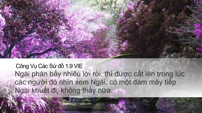 Công Vụ Các Sứ đồ 1:9 VIE Bible Verse Image