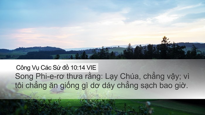 Công Vụ Các Sứ đồ 10:14 VIE Bible Verse Image