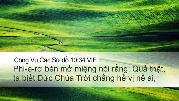 Công Vụ Các Sứ đồ 10:34 VIE Bible Verse Image