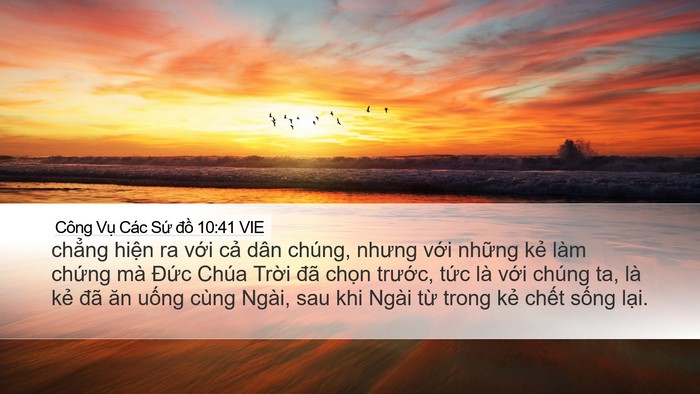 Công Vụ Các Sứ đồ 10:41 VIE Bible Verse Image