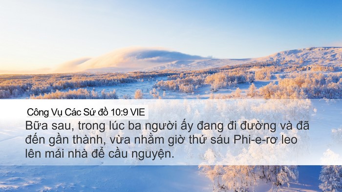 Công Vụ Các Sứ đồ 10:9 VIE Bible Verse Image