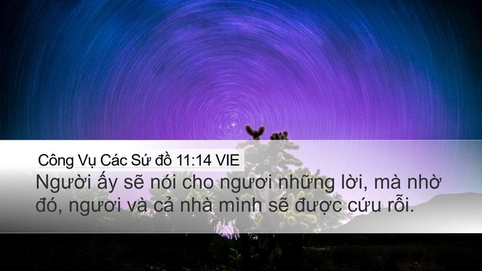 Công Vụ Các Sứ đồ 11:14 VIE Bible Verse Image