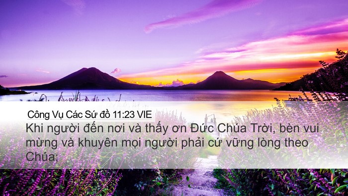 Công Vụ Các Sứ đồ 11:23 VIE Bible Verse Image