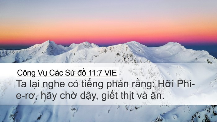 Công Vụ Các Sứ đồ 11:7 VIE Desktop Wallpaper - Ta lại nghe có tiếng phán rằng: Hỡi - Desktop Bible Verse Wallpaper