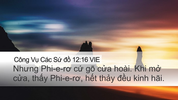 Công Vụ Các Sứ đồ 12:16 VIE Bible Verse Image