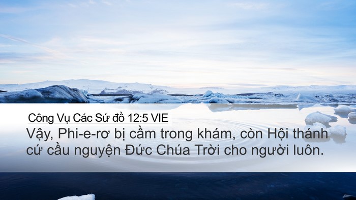 Công Vụ Các Sứ đồ 12:5 VIE Bible Verse Image