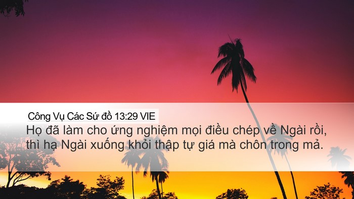 Công Vụ Các Sứ đồ 13:29 VIE Bible Verse Image