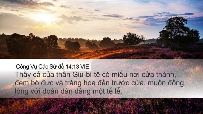Công Vụ Các Sứ đồ 14:13 VIE Bible Verse Image