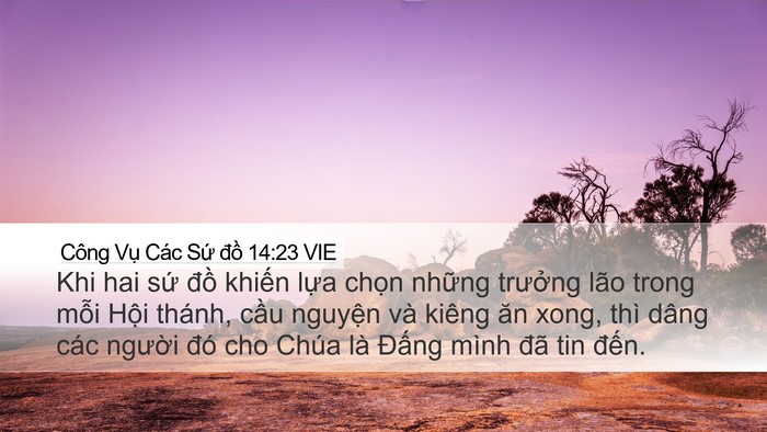 Công Vụ Các Sứ đồ 14:23 VIE Bible Verse Image