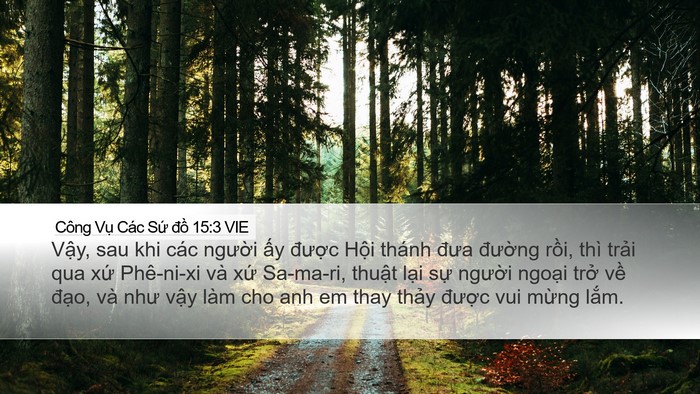 Công Vụ Các Sứ đồ 15:3 VIE Bible Verse Image