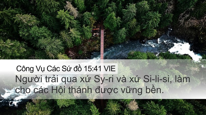 Công Vụ Các Sứ đồ 15:41 VIE Bible Verse Image