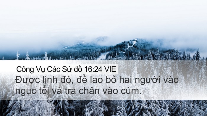 Công Vụ Các Sứ đồ 16:24 VIE Bible Verse Image