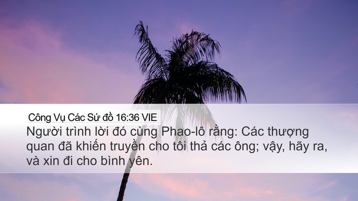 Công Vụ Các Sứ đồ 16:36 VIE Bible Verse Image