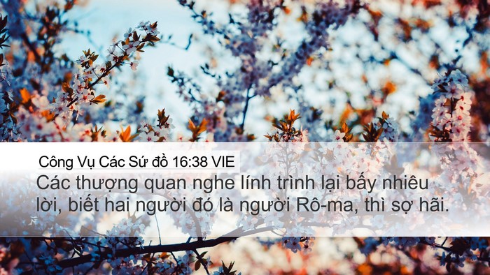 Công Vụ Các Sứ đồ 16:38 VIE Desktop Wallpaper - Các thượng quan nghe lính trình lại bấy - Desktop Bible Verse Wallpaper