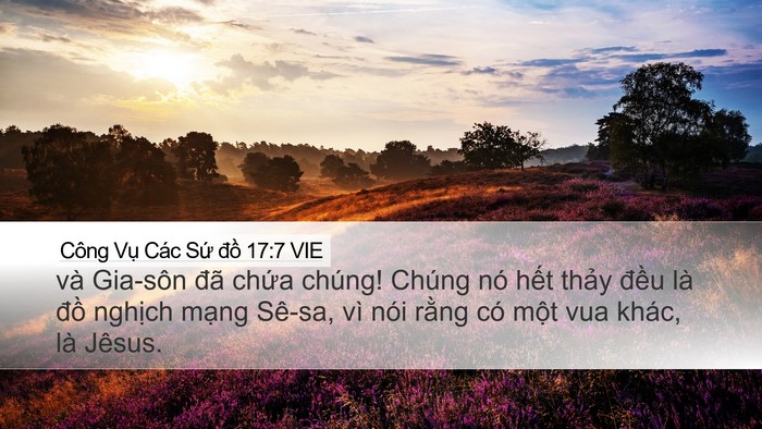 Công Vụ Các Sứ đồ 17:7 VIE Bible Verse Image
