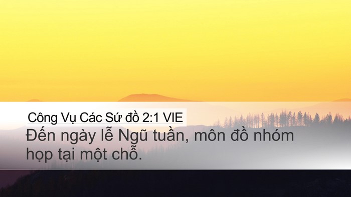 Công Vụ Các Sứ đồ 2:1 VIE Bible Verse Image