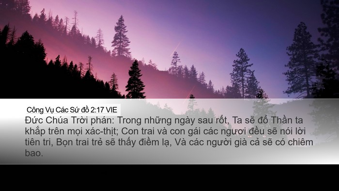 Công Vụ Các Sứ đồ 2:17 VIE Bible Verse Image