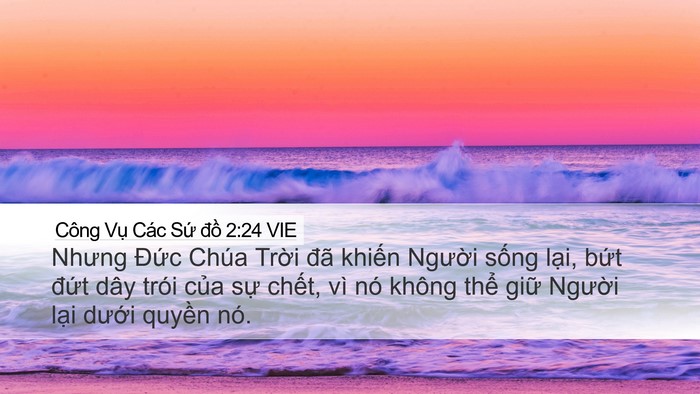 Công Vụ Các Sứ đồ 2:24 VIE Bible Verse Image