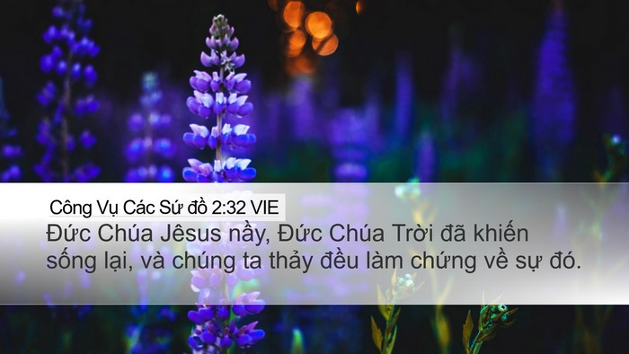 Công Vụ Các Sứ đồ 2:32 VIE Bible Verse Image