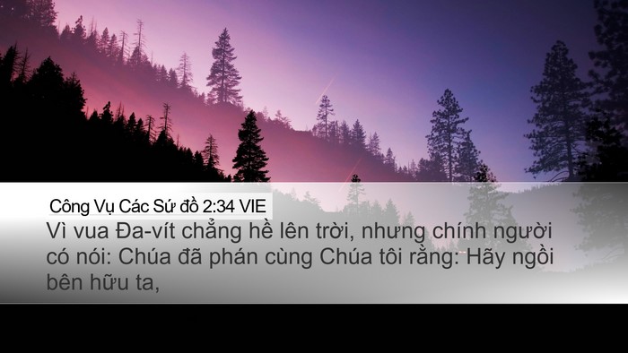 Công Vụ Các Sứ đồ 2:34 VIE Bible Verse Image