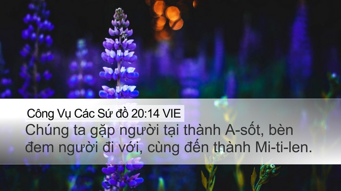 Công Vụ Các Sứ đồ 20:14 VIE Desktop Wallpaper - Chúng ta gặp người tại thành A-sốt, - Desktop Bible Verse Wallpaper
