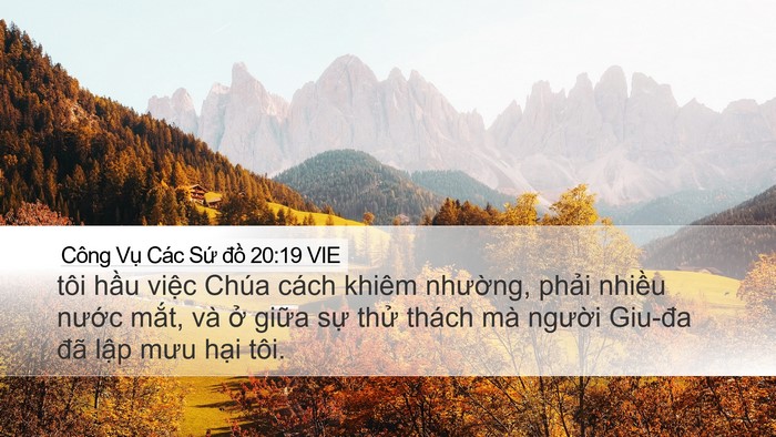 Công Vụ Các Sứ đồ 20:19 VIE Bible Verse Image