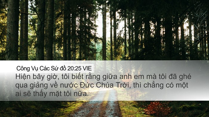 Công Vụ Các Sứ đồ 20:25 VIE Bible Verse Image