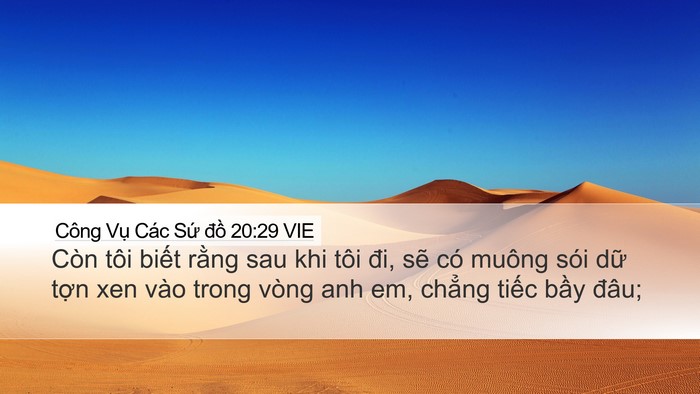 Công Vụ Các Sứ đồ 20:29 VIE Bible Verse Image