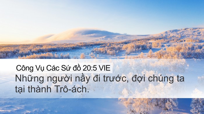 Công Vụ Các Sứ đồ 20:5 VIE Bible Verse Image