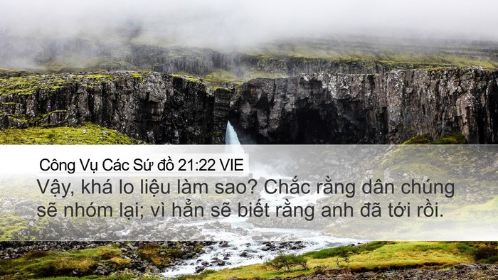 Công Vụ Các Sứ đồ 21:22 VIE Bible Verse Image