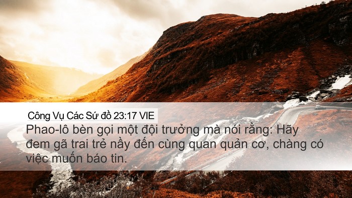 Công Vụ Các Sứ đồ 23:17 VIE Bible Verse Image