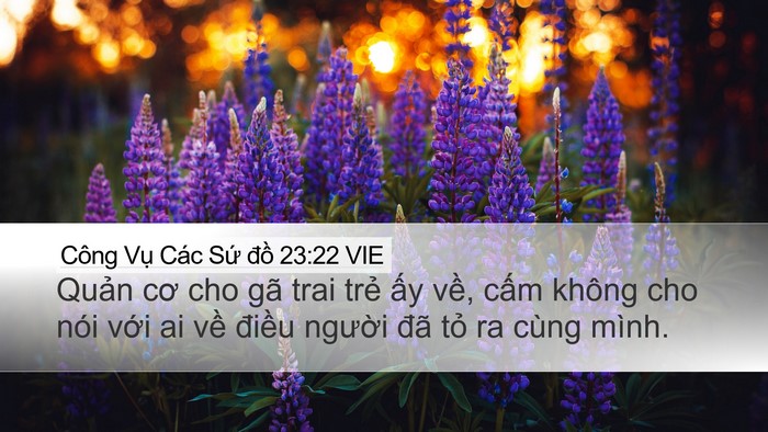 Công Vụ Các Sứ đồ 23:22 VIE Desktop Wallpaper - Quản cơ cho gã trai trẻ ấy về, cấm - Desktop Bible Verse Wallpaper