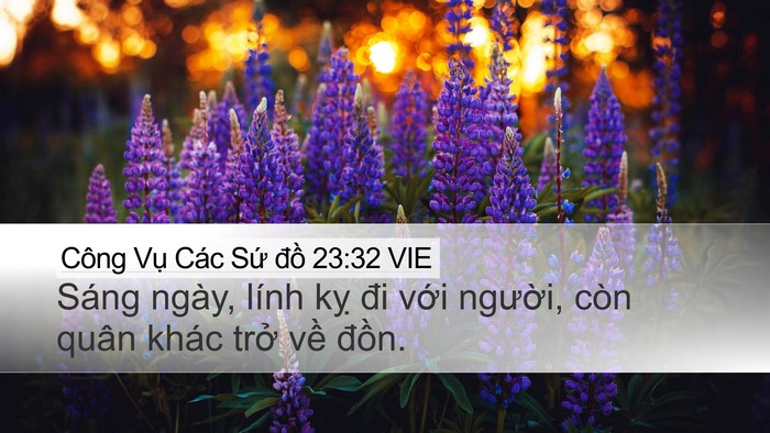 Công Vụ Các Sứ đồ 23:32 VIE Bible Verse Image