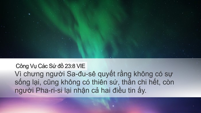Công Vụ Các Sứ đồ 23:8 VIE Bible Verse Image