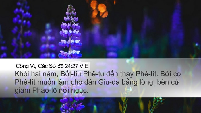 Công Vụ Các Sứ đồ 24:27 VIE Bible Verse Image