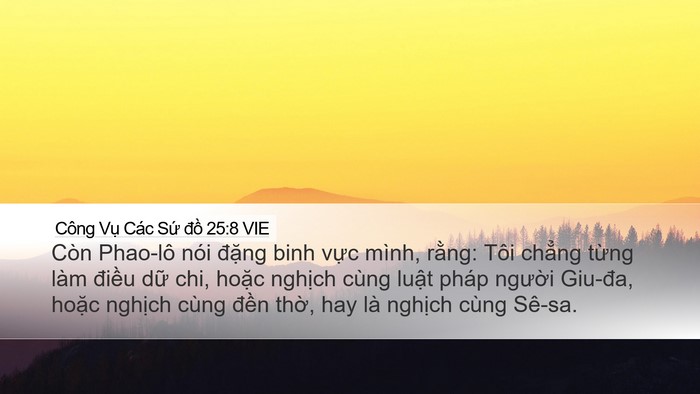Công Vụ Các Sứ đồ 25:8 VIE Bible Verse Image