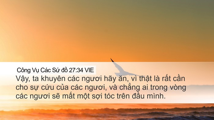 Công Vụ Các Sứ đồ 27:34 VIE Bible Verse Image
