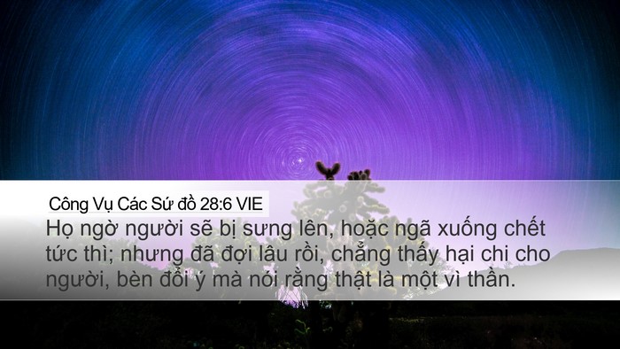 Công Vụ Các Sứ đồ 28:6 VIE Bible Verse Image