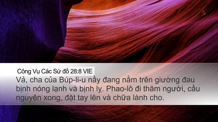 Công Vụ Các Sứ đồ 28:8 VIE Bible Verse Image
