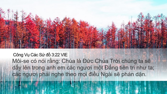 Công Vụ Các Sứ đồ 3:22 VIE Bible Verse Image
