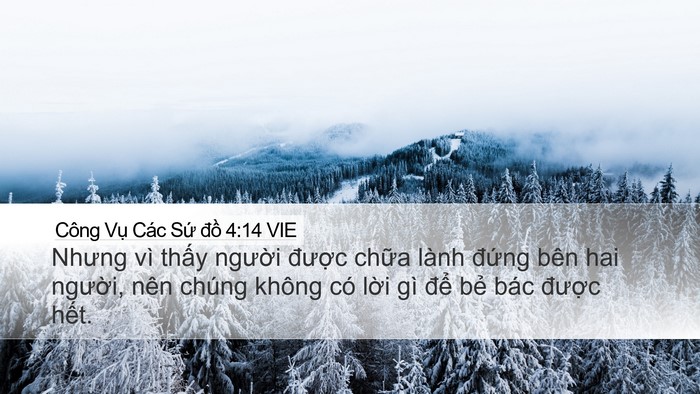 Công Vụ Các Sứ đồ 4:14 VIE Bible Verse Image